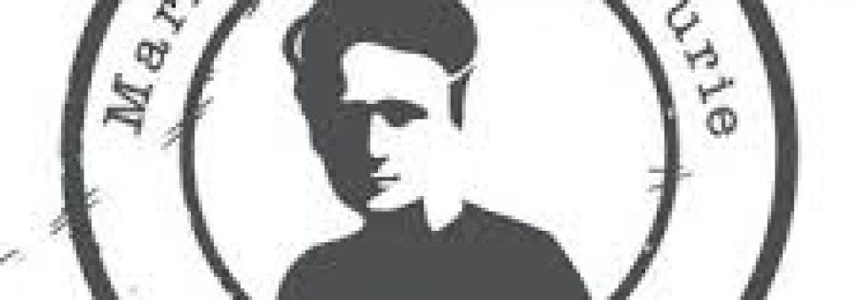 Maria Sklodowska-Curie Individual Fellowships