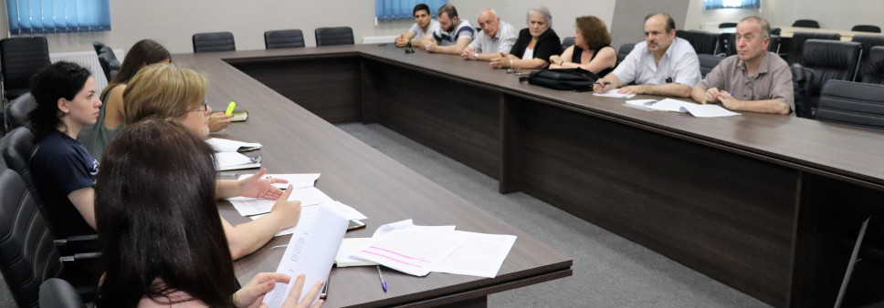 Consultation meeting