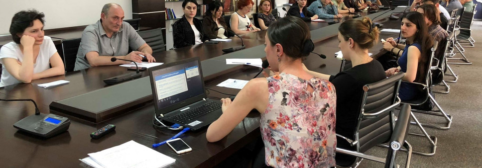 საკონსულტაციო შეხვედრა