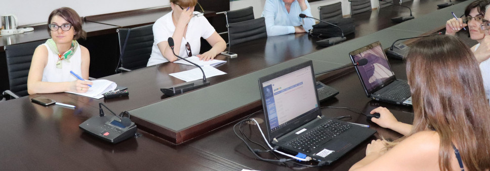 Consultation meeting