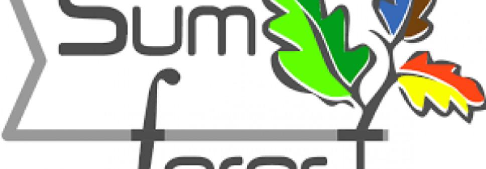 Event Announcement & Call for Papers Sumforest Summer School for Young Researchers