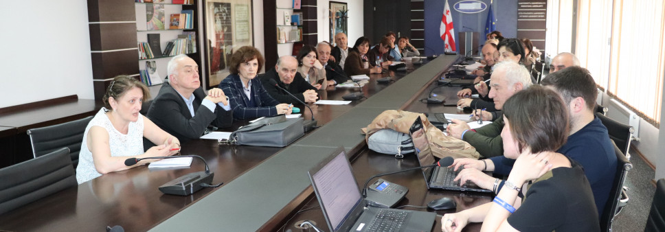 Consultation Meeting