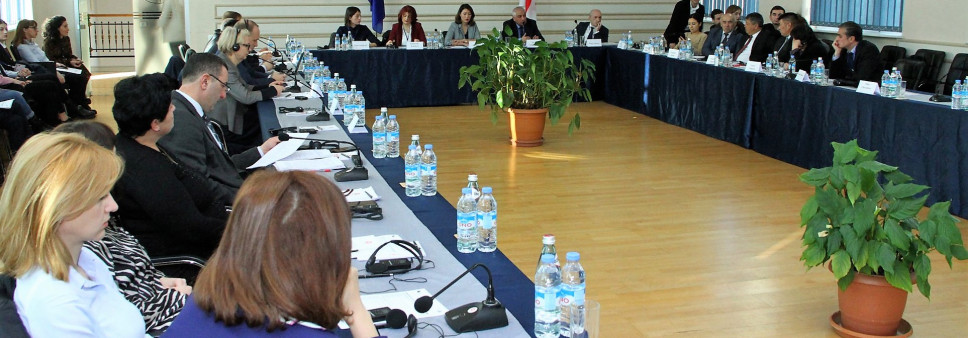 „პროფესიული საჯარო მოხელის პროფესიული განვითარების საერთაშორისო გამოცდილება და ქართული მოდელის შექმნის პერსპექტივა“