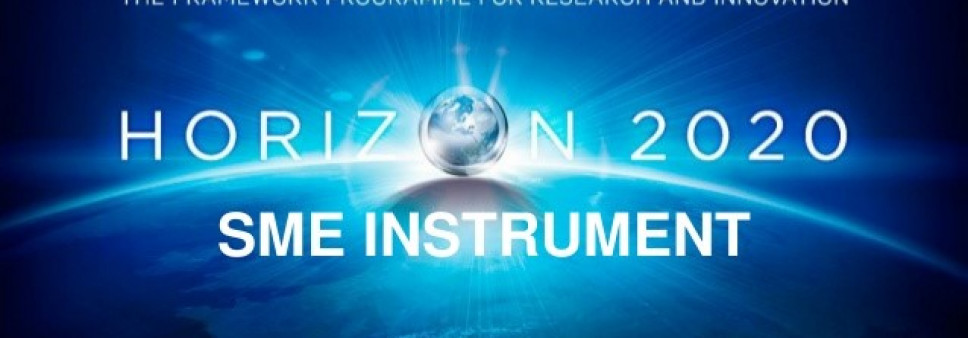 SRNSF disseminates information on Horizon 2020 Manuals