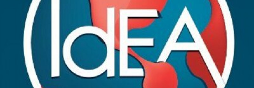 IdEA - Statement of Interest
