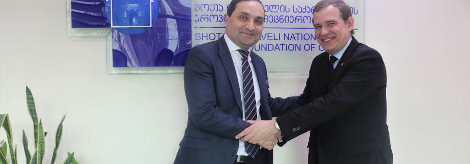 Meeting of the Director General of the Foundation and the Ambassador of France