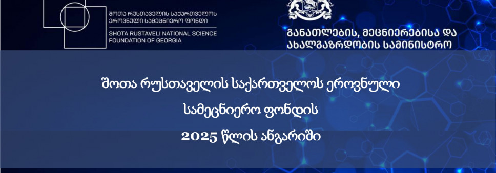 შოთა რუსთაველის საქართველოს ეროვნული სამეცნიერო ფონდის 2025 წლის ანგარიში