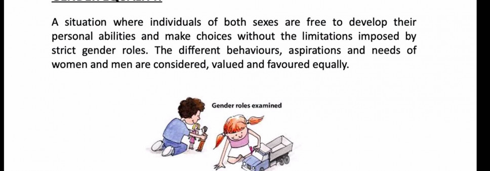 Training  "Gender in Teaching" - Caliper