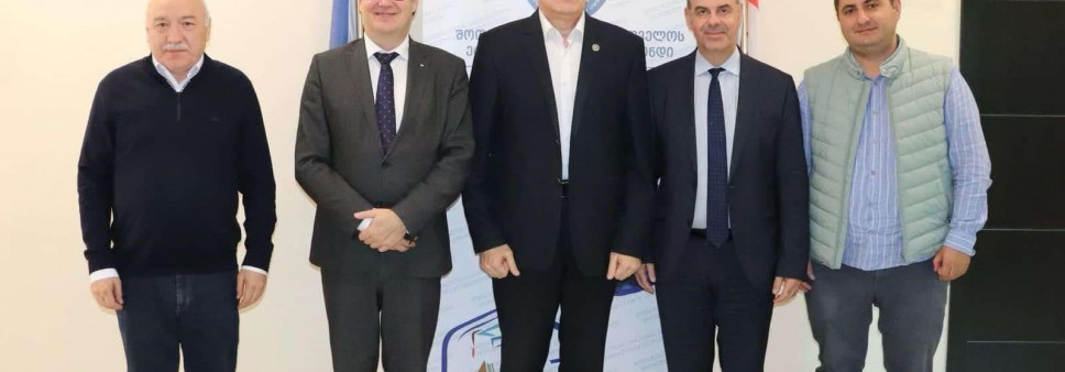 რუსთაველის სამეცნიერო ფონდისა და ბირთვული კვლევების ევროპული ორგანიზაციის  წარმომადგენელთა შეხვედრა