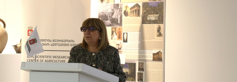 გაიმართა პროექტის - „საქართველოს ტყის იშვიათი და რელიქტური სახეობების შესწავლა და ელექტრონული მონაცემთა ბაზის შექმნა“ - სემინარი