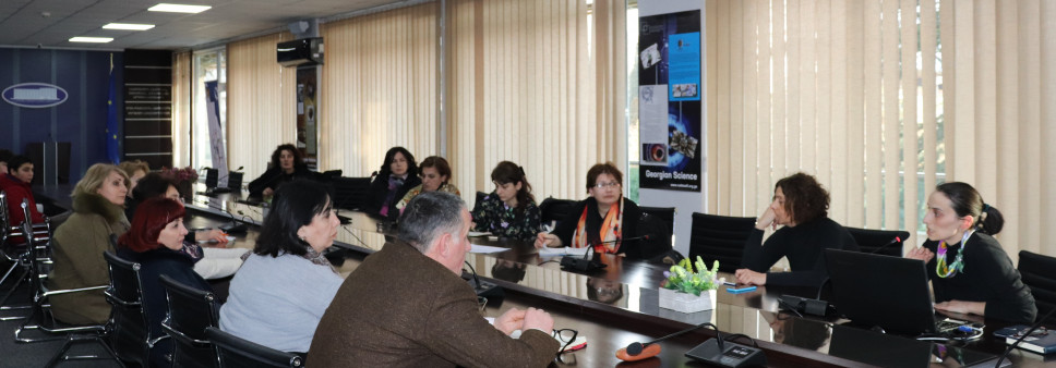 საკონსულტაციო შეხვედრა