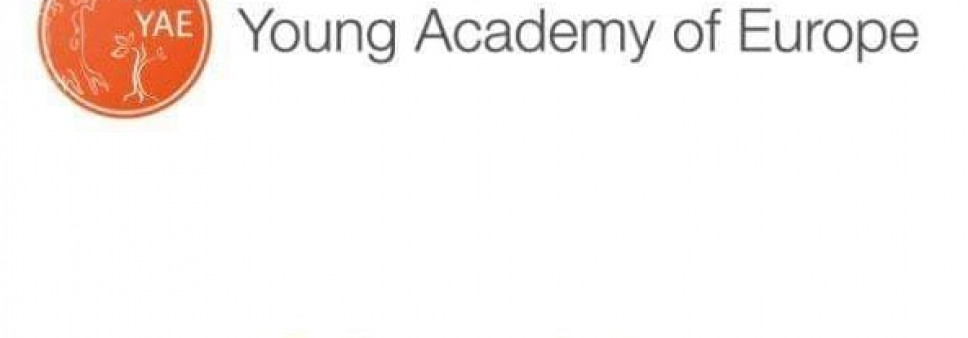 აკადემია ევროპეას ახალგაზრდული ფრთის (Young Academy of Europe (YAE)) მიერ ორგანიზებული ონლაინ სემინარი