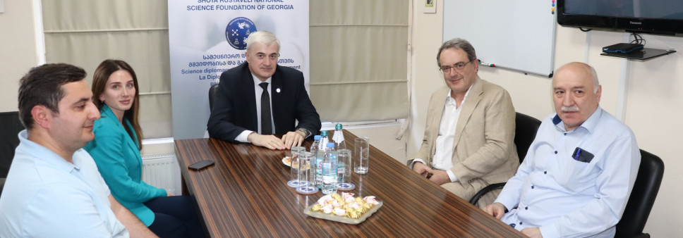   Rustaveli Foundation hosted  representatives of  the European Organization for Nuclear Research