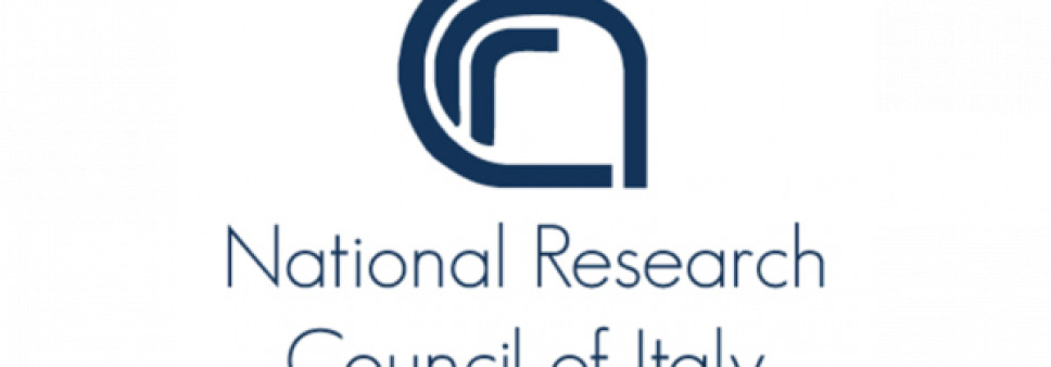 Joint Call of the Shota Rustaveli National Science Foundation of Georgia and the National Research Council Italy (CNR)