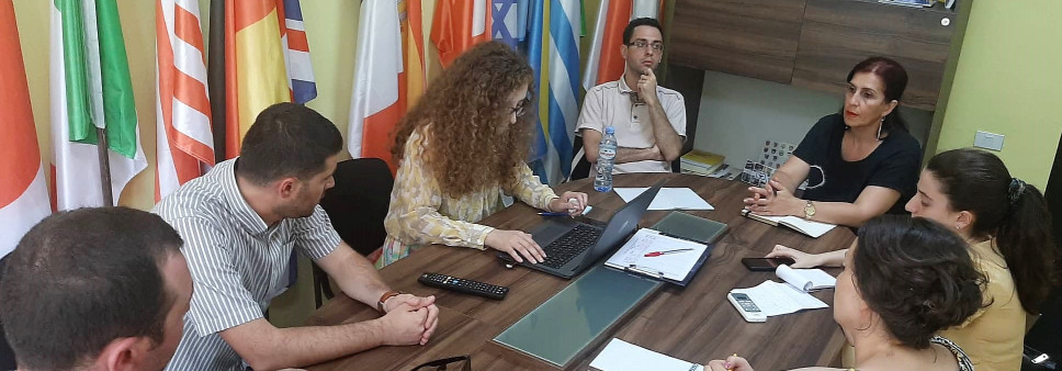 საკონსულტაციო შეხვედრა