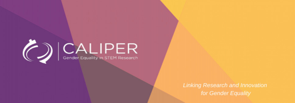 Caliper – 2nd Project Management Team meeting