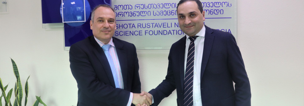Meeting with the Ambassador Extraordinary and Plenipotentiary of Israel to Georgia