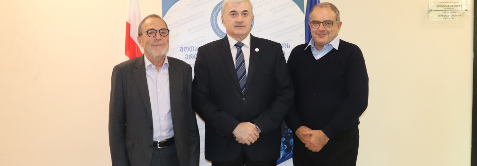 რუსთაველის  სამეცნიერო ფონდის  გენერალური დირექტორი  ბირთვული კვლევების ევროპული ორგანიზაციის - ცერნის (CERN) მეცნიერებს შეხვდა