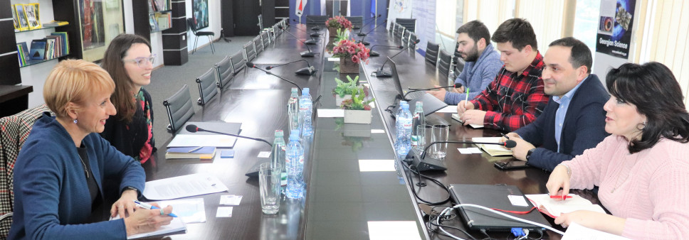 Meeting with representatives of the French Embassy and the French Institute of Georgia