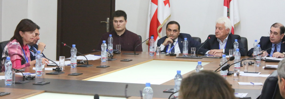 მრგვალი მაგიდა  ,,GGSB - PLUS - საქართველო გერმანიის სამეცნიერო ხიდის მომავალი” 