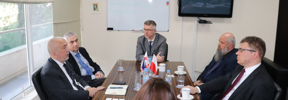 რუსთაველის ფონდმა  პოლონეთის მიეროშევსკის ცენტრის წარმომადგენლებს უმასპინძლა