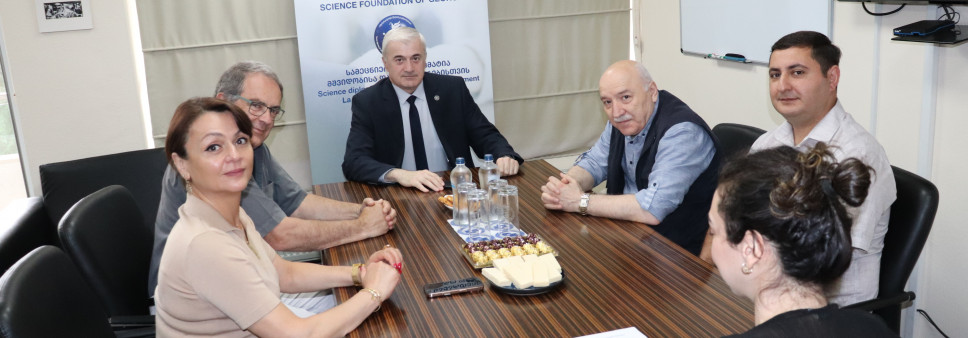 რუსთაველის სამეცნიერო ფონდის გენერალური დირექტორი CERN-ის მეცნიერებს შეხვდა