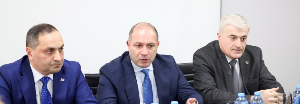 გივი მიქანაძე შოთა რუსთაველის საქართველოს ეროვნული სამეცნიერო ფონდის თანამშრომლებს შეხვდა