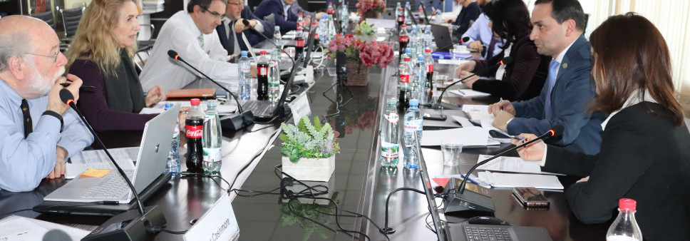 International Coordinating Board Meeting VIII f Shota Rustaveli National Science Foundation of Georgia