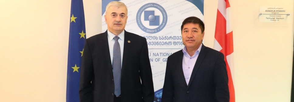 The Rustaveli Foundation hosted a representative of the International Scientific and Technical Center 