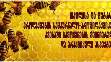 თაფლისა და ფუტკრის პროდუქტების სამკურნალო- პროფილაქტიკურ კვებაში  გამოყენების მეცნიერულ-პრაქტიკული ასპექტები
