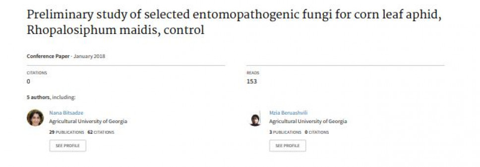 Preliminary study of selected entomopathogenic fungi for corn leaf aphid, Rhopalosiphum maidis, control 