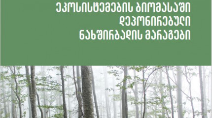 საქართველოს ტყის  ეკოსისტემების ბიომასაში  დეპონირებული ნახშირბადის  მარაგები